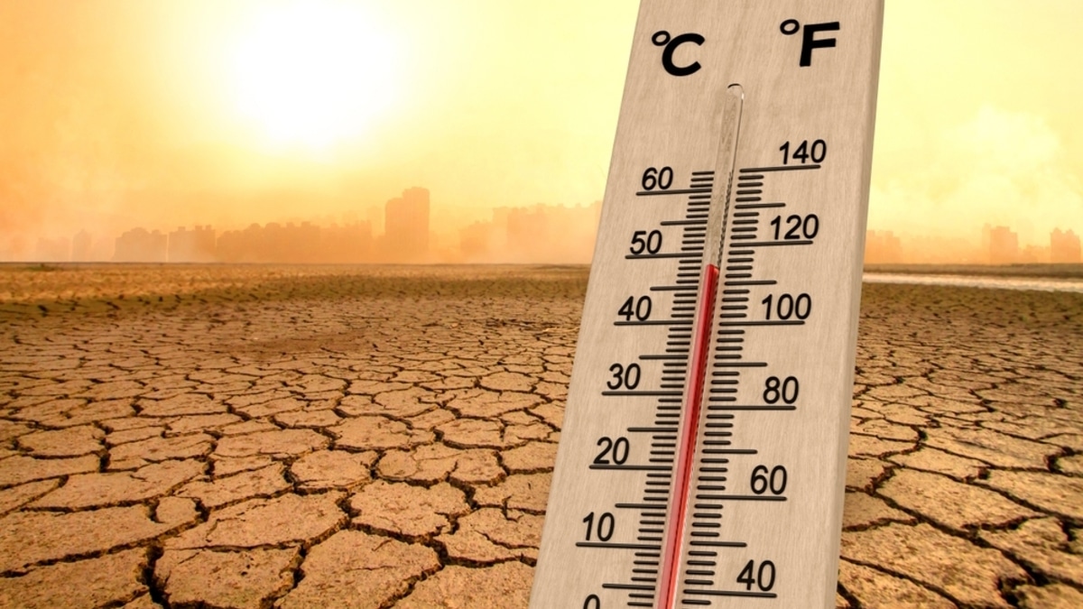 "Крайне опасны": врач рассказал, какие продукты нельзя есть в жару "Крайне опасны": врач рассказал, какие продукты нельзя есть в жару