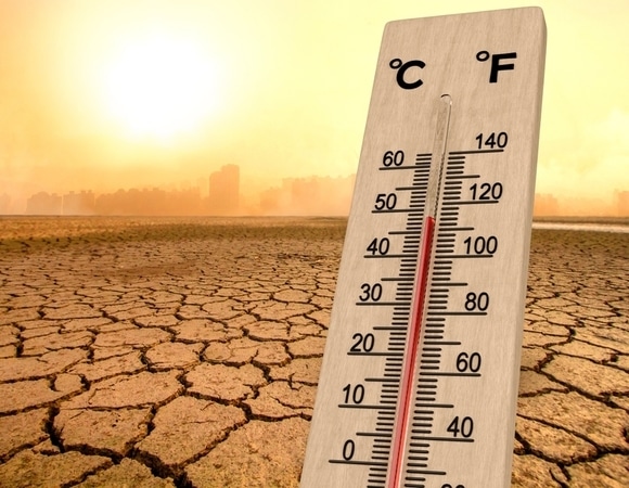 "Крайне опасны": врач рассказал, какие продукты нельзя есть в жару