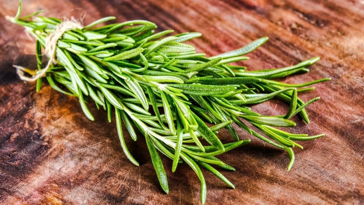 Розмарин: как обычная приправа помогает сохранить ясность ума Розмарин: как обычная приправа помогает сохранить ясность ума