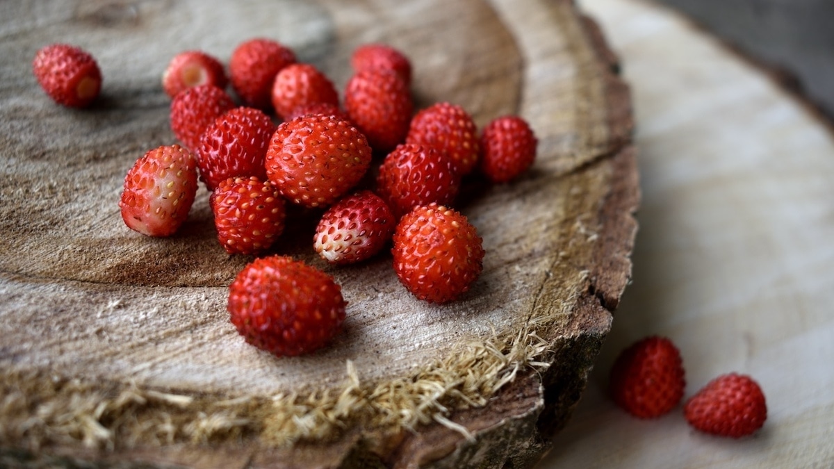 Здоровее будете: гастроэнтеролог объяснила, кому нельзя есть землянику 