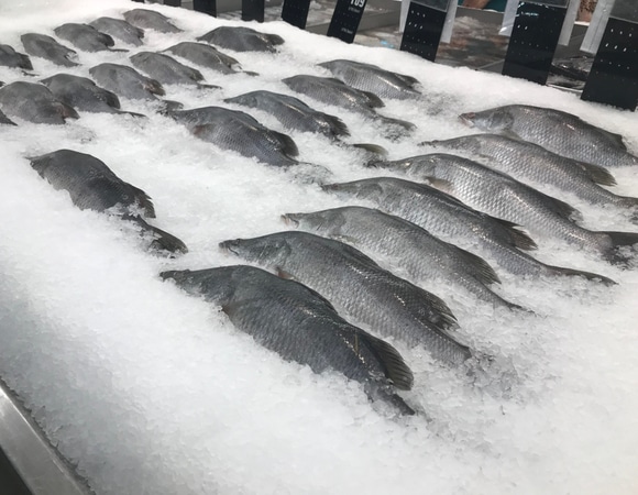 Что будет, если заморозить рыбу повторно?