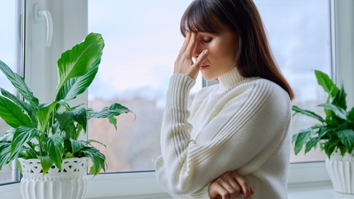 Эти продукты бодрят не хуже кофе: как питаться, чтобы всегда были силы Эти продукты бодрят не хуже кофе: как питаться, чтобы всегда были силы