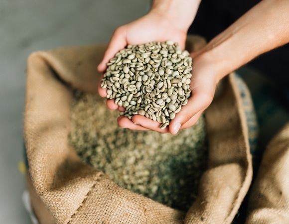 Что такое зеленый кофе и чем он отличается от обычного — просветил гастроэнтеролог Вялов Что такое зеленый кофе и чем он отличается от обычного — просветил гастроэнтеролог Вялов