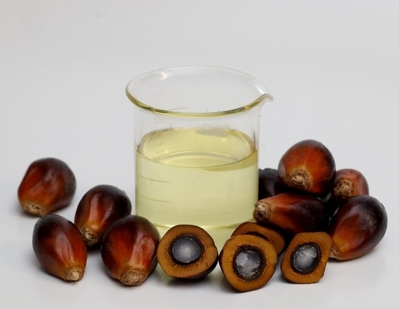 "Назначают детям": врач назвал самое полезное пальмовое масло и объяснил, почему мы зря его боимся