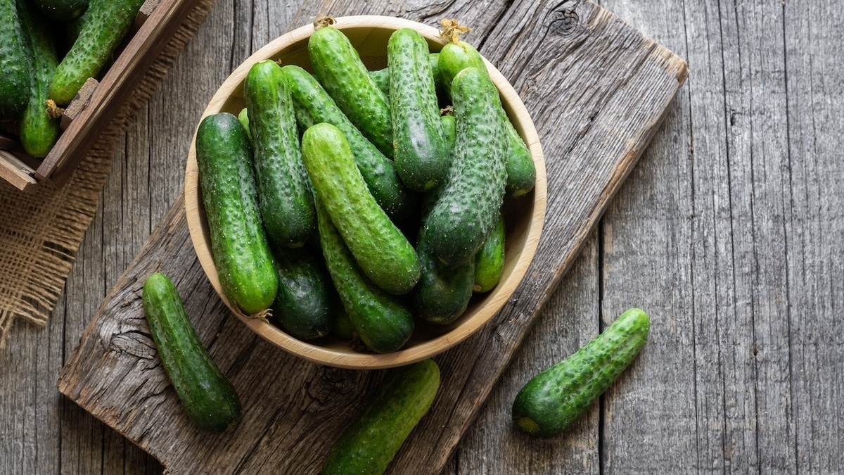 Свежие, соленые или маринованные? Гастроэнтеролог объяснила, какие огурцы безопасны при гастрите