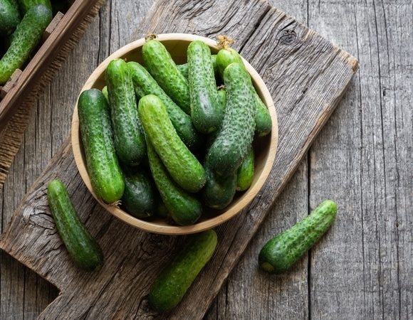 Свежие, соленые или маринованные? Гастроэнтеролог объяснила, какие огурцы безопасны при гастрите