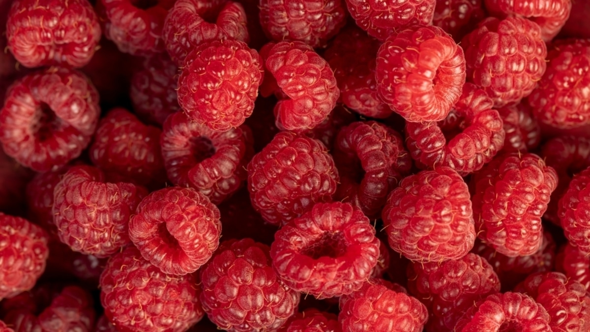 Ягодка к ягодке: как правильно мыть нежную малину, чтобы она не превратилась в кашу