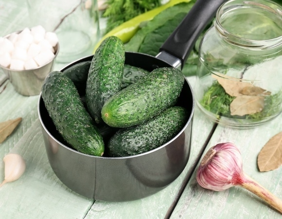 Одной соли будет мало: какие специи использовать для маринования и засолки огурцов? Одной соли будет мало: какие специи использовать для маринования и засолки огурцов?