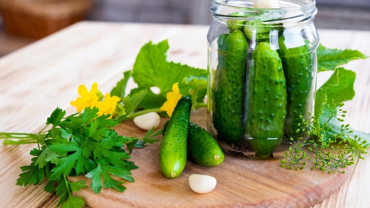 Какие огурцы брать для засолки и нужно ли их замачивать — советы экспертов "Едим Дома"