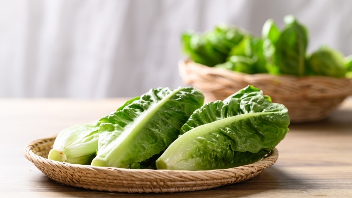 Романо можно не только в "Цезарь": чем полезна эта зелень и как ее выбрать