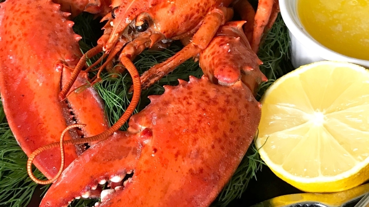 Купили раков, а готовить лень? 3 способа сохранить их свежими до недели 