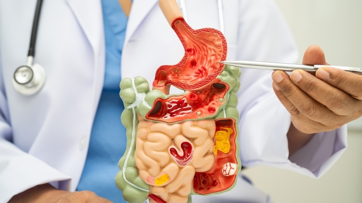 Назван список продуктов, которые не перевариваются в организме человека