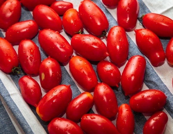 Горчица сделает дело! Стало известно, как сохранить свежие помидоры на 2–3 месяца Горчица сделает дело! Стало известно, как сохранить свежие помидоры на 2–3 месяца