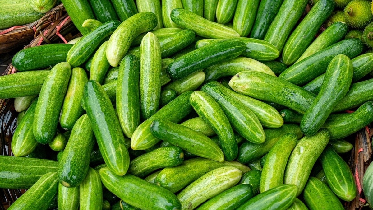 Не выбрасывайте переросшие огурцы: из них можно сделать вкусную заготовку на зиму 