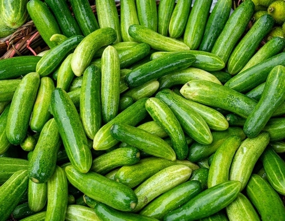 Не выбрасывайте переросшие огурцы: из них можно сделать вкусную заготовку на зиму Не выбрасывайте переросшие огурцы: из них можно сделать вкусную заготовку на зиму