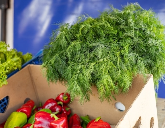 Зелень останется свежей 3 недели: метод хранения, которым пользуются в дорогих ресторанах Зелень останется свежей 3 недели: метод хранения, которым пользуются в дорогих ресторанах