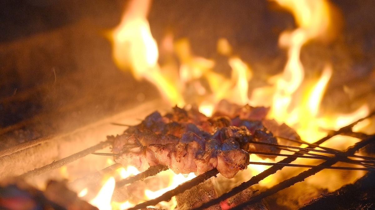 И мясо "фу", и со здоровьем беда: как понять, что вы взяли опасный розжиг для мангала — 5 признаков 