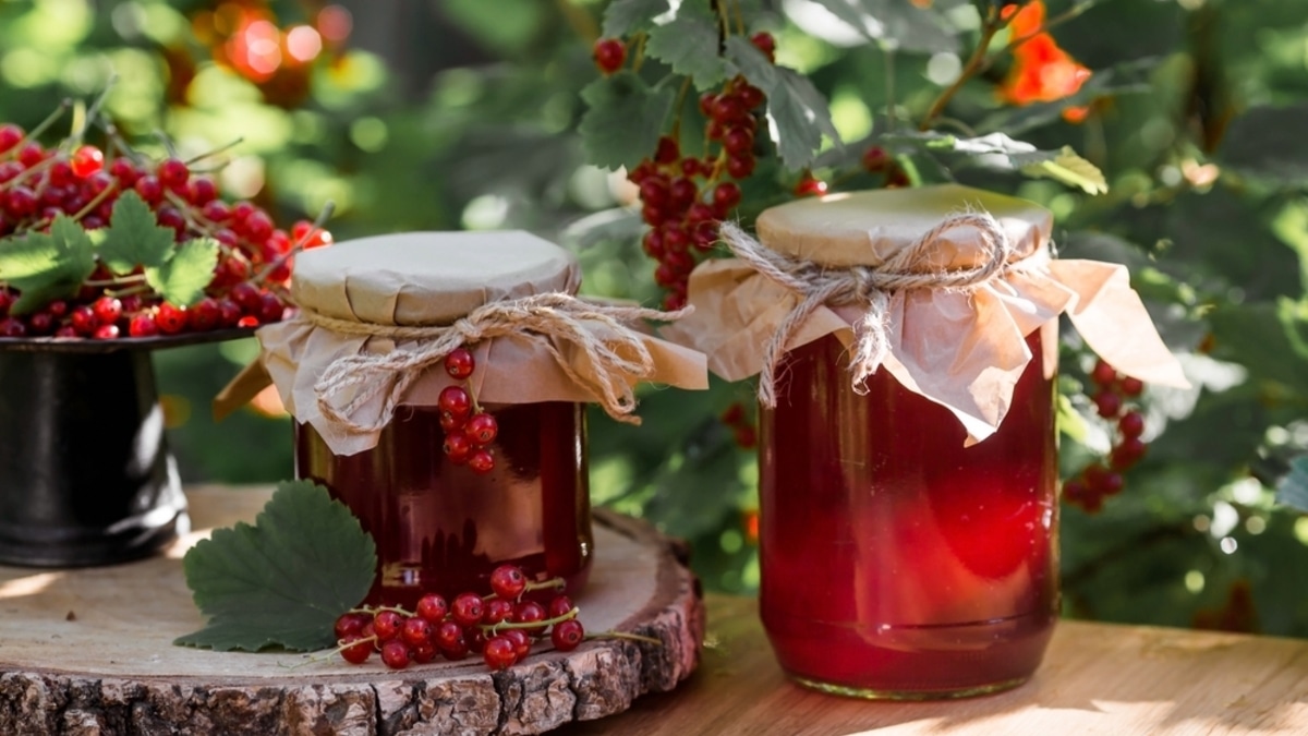 Чтобы банки не вздулись: эксперт назвала 4 главных правила заготовки ягод на зиму
