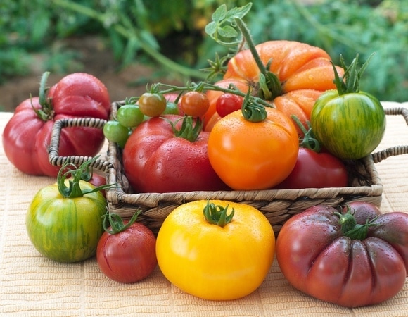 Как готовить сезонные овощи, чтобы сохранить витамины — способ есть Как готовить сезонные овощи, чтобы сохранить витамины — способ есть