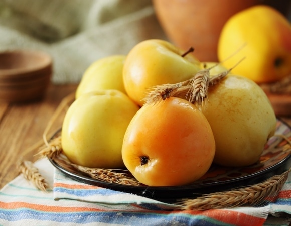 Моченые яблоки без бочки за 3 недели — берите эти сорта, не прогадаете Моченые яблоки без бочки за 3 недели — берите эти сорта, не прогадаете