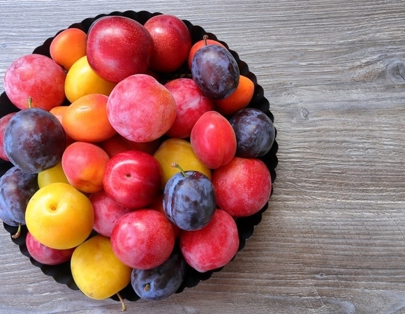 Чем алыча отличается от сливы — вот как различать их с первого взгляда Чем алыча отличается от сливы — вот как различать их с первого взгляда