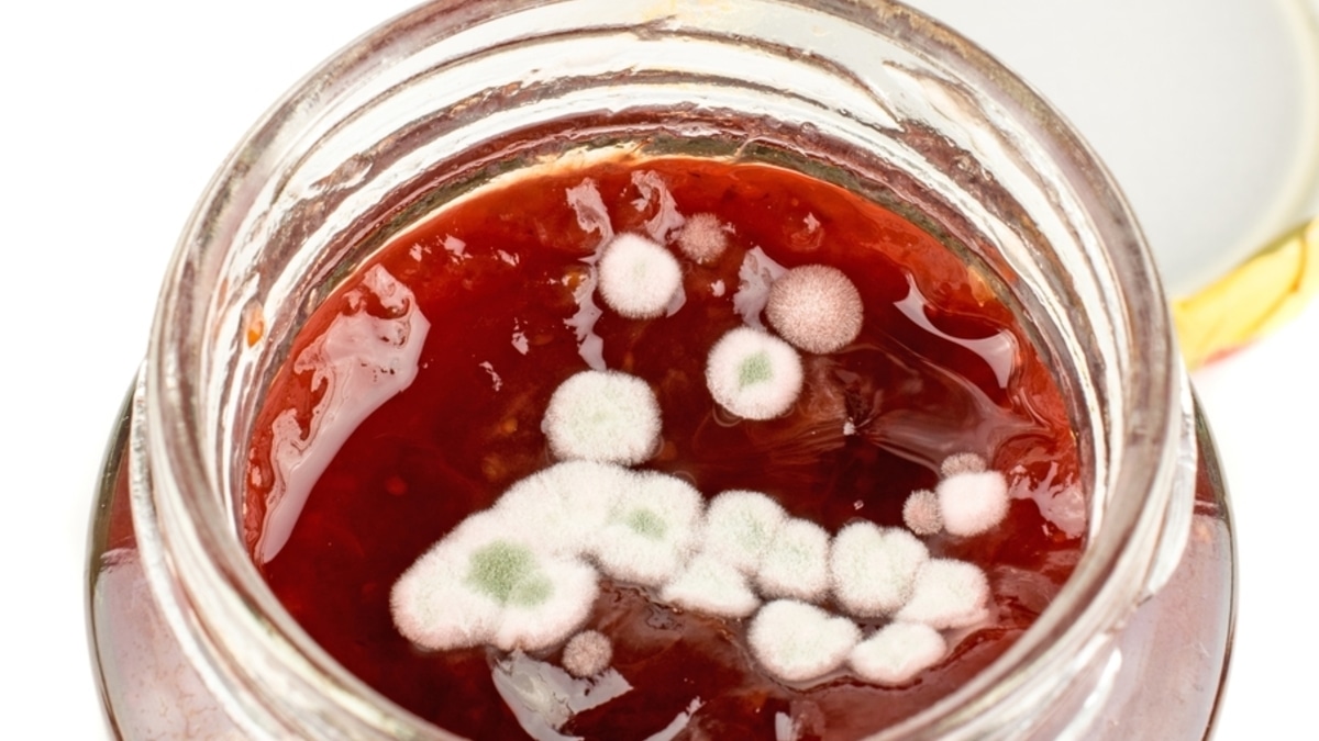 Можно ли есть варенье с плесенью? 