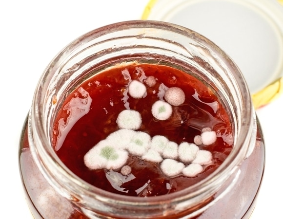 Можно ли есть варенье с плесенью? Можно ли есть варенье с плесенью?