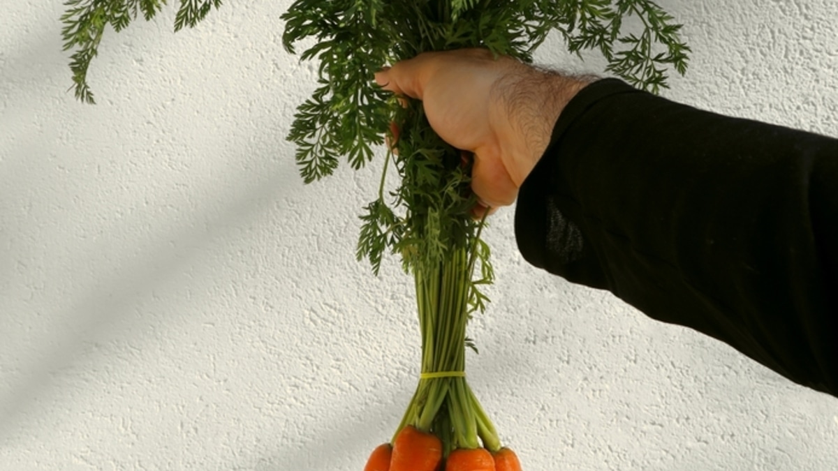 "Пользы больше, чем в самой моркови": как превратить ботву в целебный напиток — мастер-класс от шеф-повара "Пользы больше, чем в самой моркови": как превратить ботву в целебный напиток — мастер-класс от шеф-повара