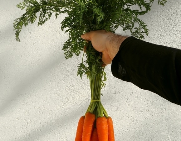 "Пользы больше, чем в самой моркови": как превратить ботву в целебный напиток — мастер-класс от шеф-повара