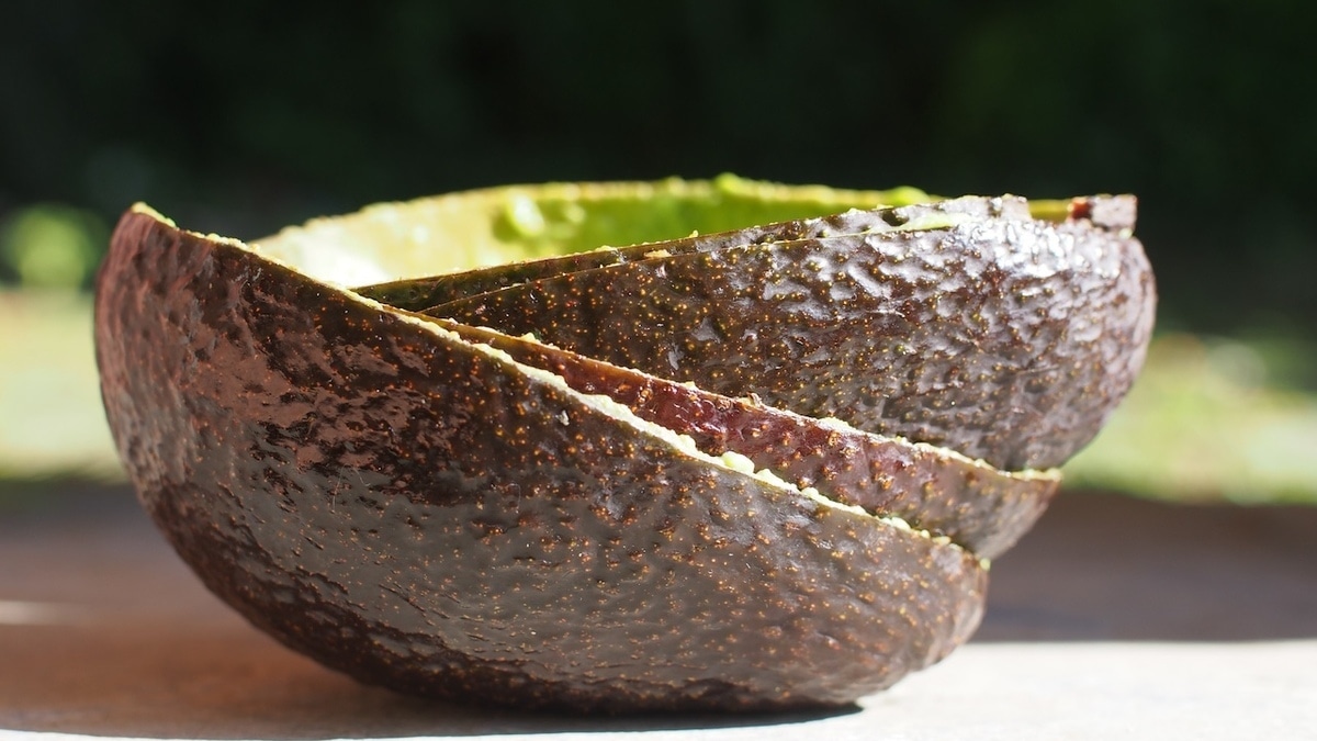 Кожуру авокадо не выбрасывайте — у нее найдется минимум 2 полезных применения