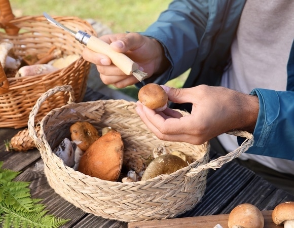 Как быстро отмыть руки после чистки грибов: 5 эффективных способов Как быстро отмыть руки после чистки грибов: 5 эффективных способов