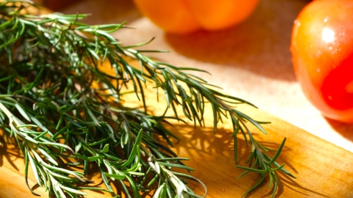 Острый ум, стальные нервы и защита от Альцгеймера: ученые раскрыли всю силу обычного розмарина Острый ум, стальные нервы и защита от Альцгеймера: ученые раскрыли всю силу обычного розмарина