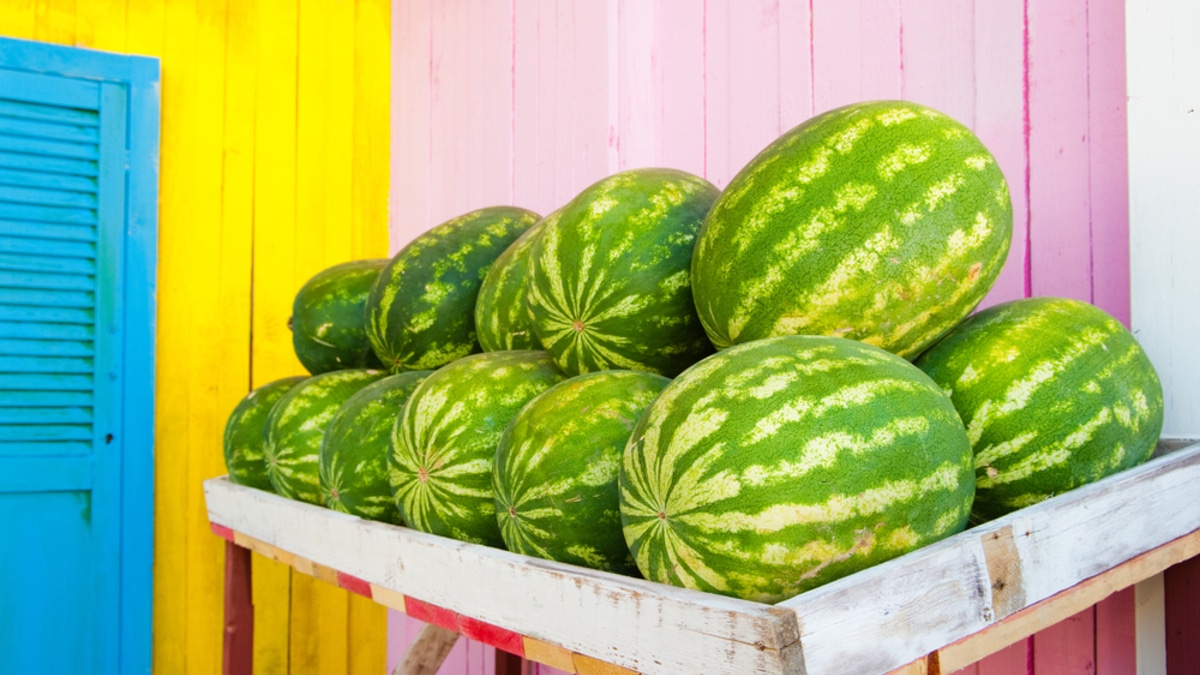 Опасный арбуз видно сразу: 3 визуальных признака, которые спасут от отравления