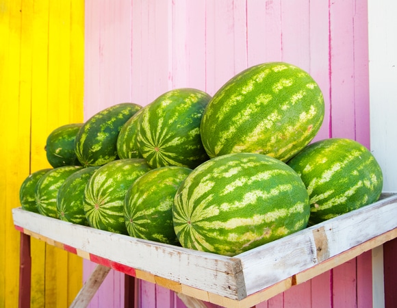 Опасный арбуз видно сразу: 3 визуальных признака, которые спасут от отравления