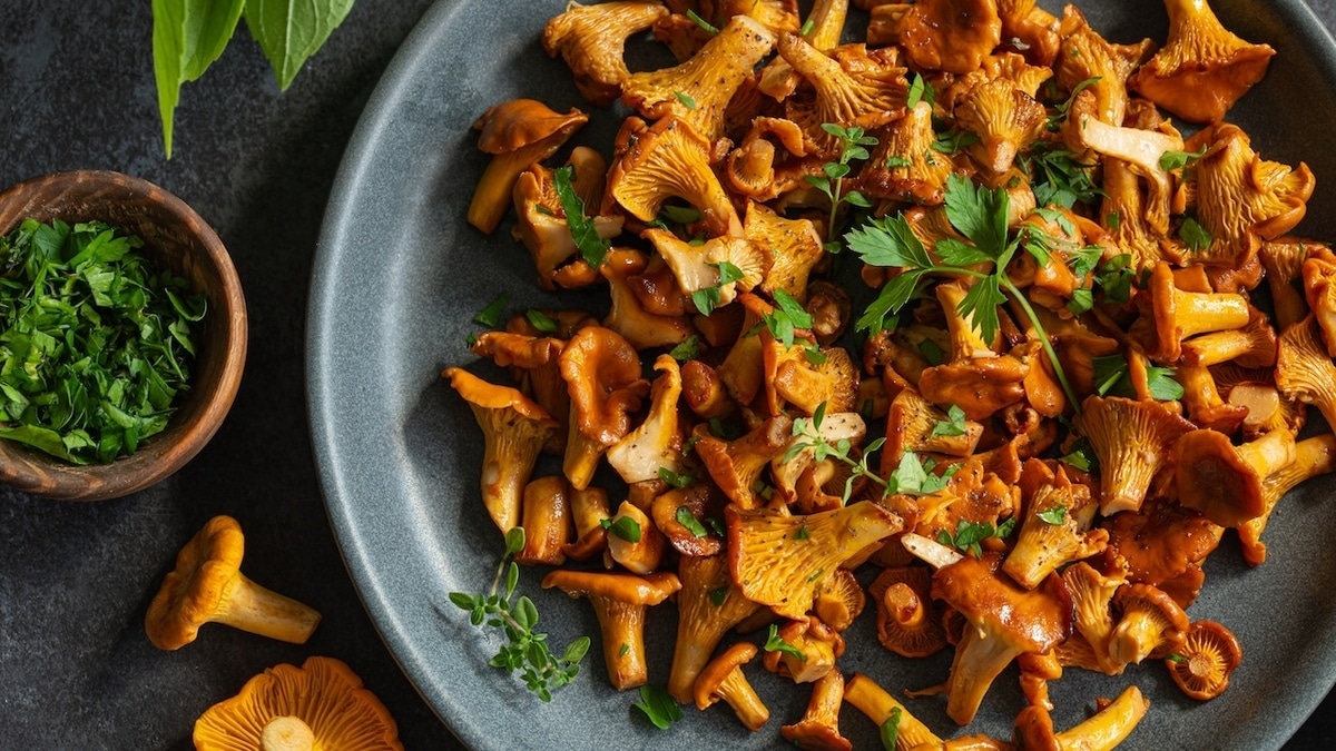 Кому нельзя есть лисички? Эксперт познакомила россиян с главными ограничениями