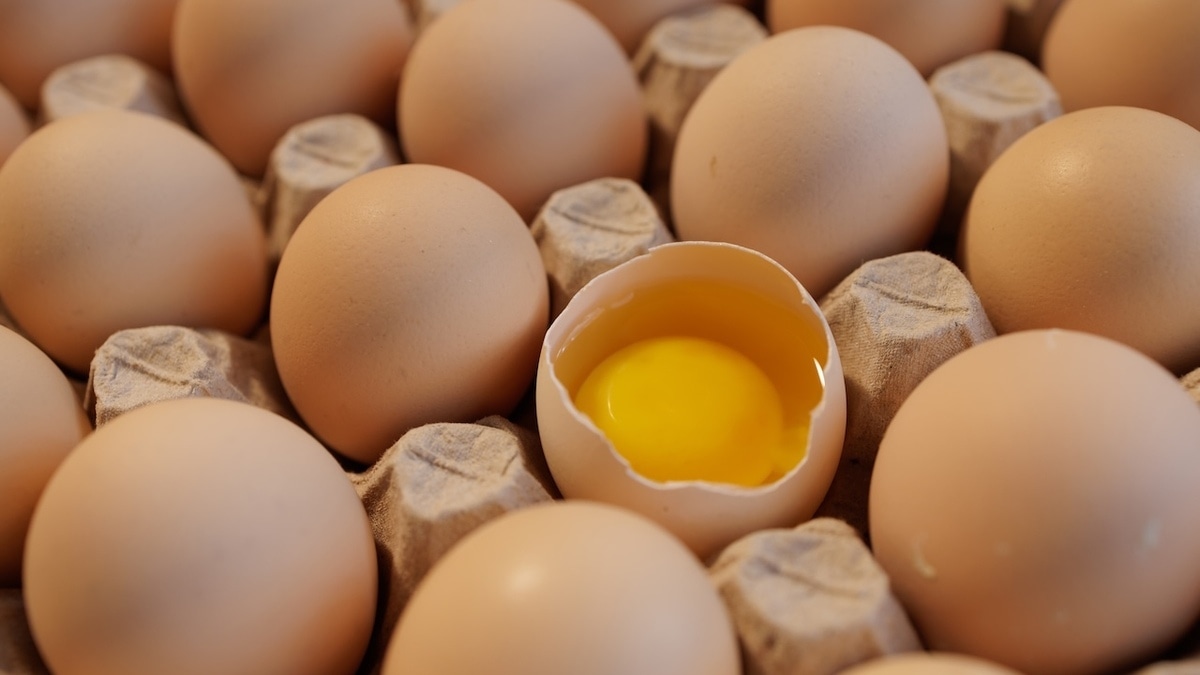 Технолог оценила реальный шанс "подхватить сальмонеллу" от магазинных яиц 