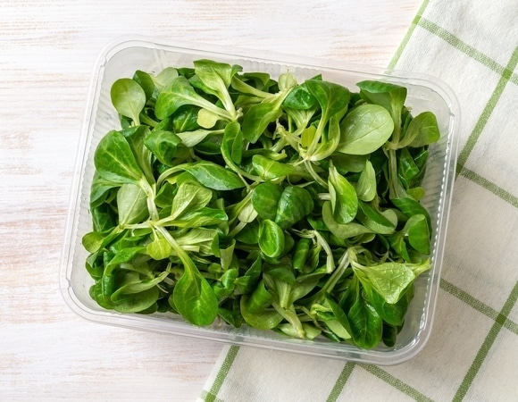 Секреты чистых листьев: что эффективнее, мыть или замачивать салат?