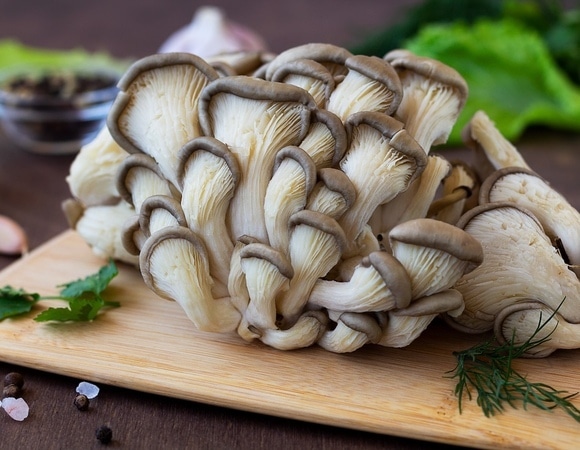 Как вырастить вешенки дома: урожай может появиться даже на балконе