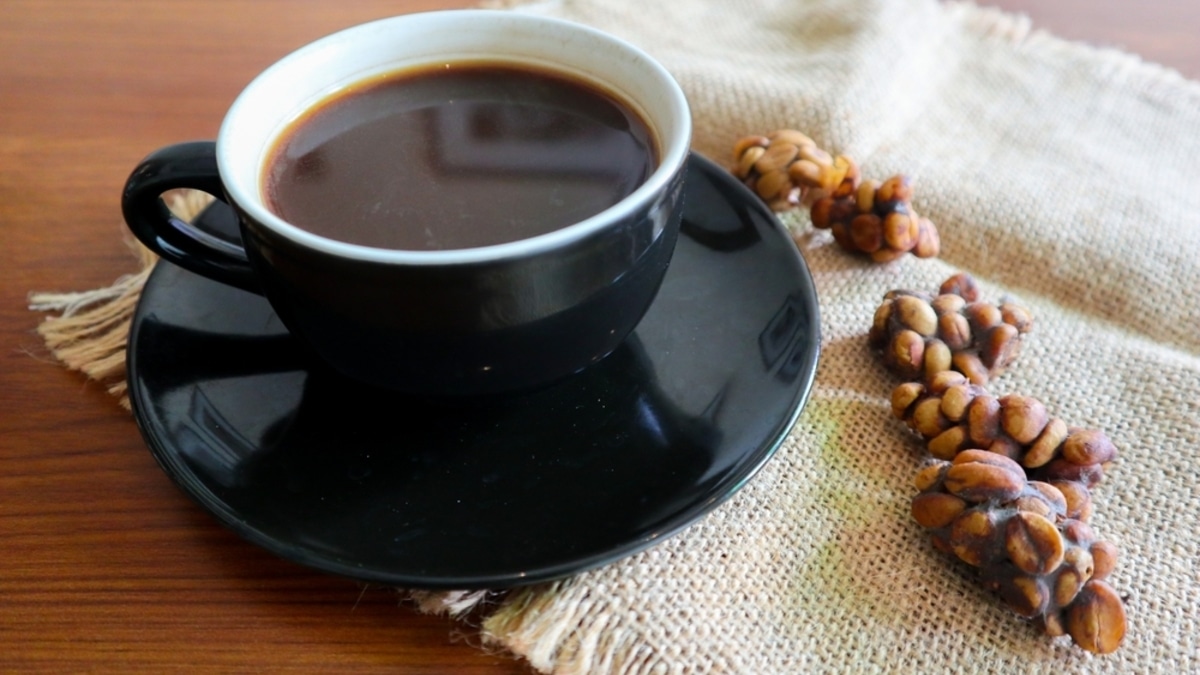 Золото на тарелке: почему за грибы и кофе платят тысячи долларов? Секреты самых дорогих продуктов мира