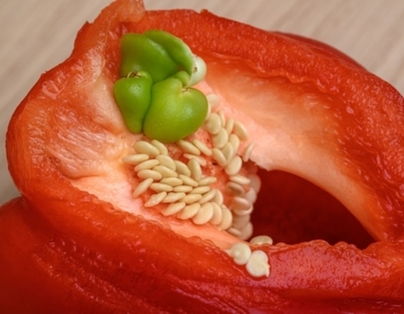 Что будет, если съесть недоразвитый перчик внутри болгарского перца?