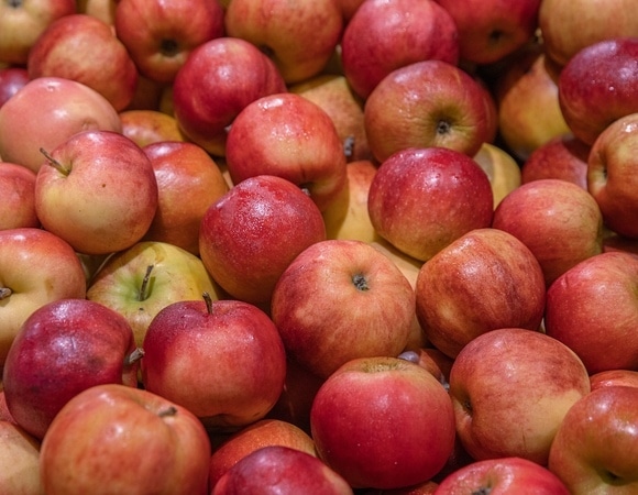 Садовод раскрыла необычный способ хранения яблок — хватит на 4 месяца и дольше