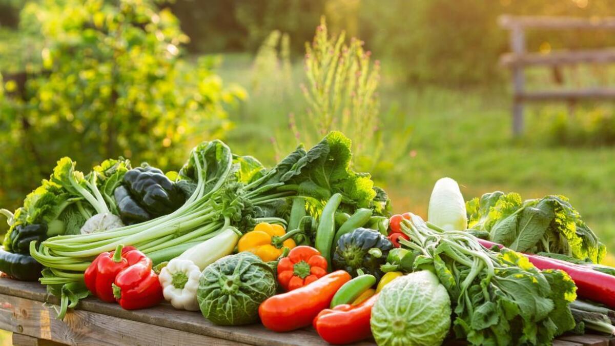 "До конца не изучили": нутрициолог объяснила, почему не нужно гнаться за "чемпионами" по клетчатке 