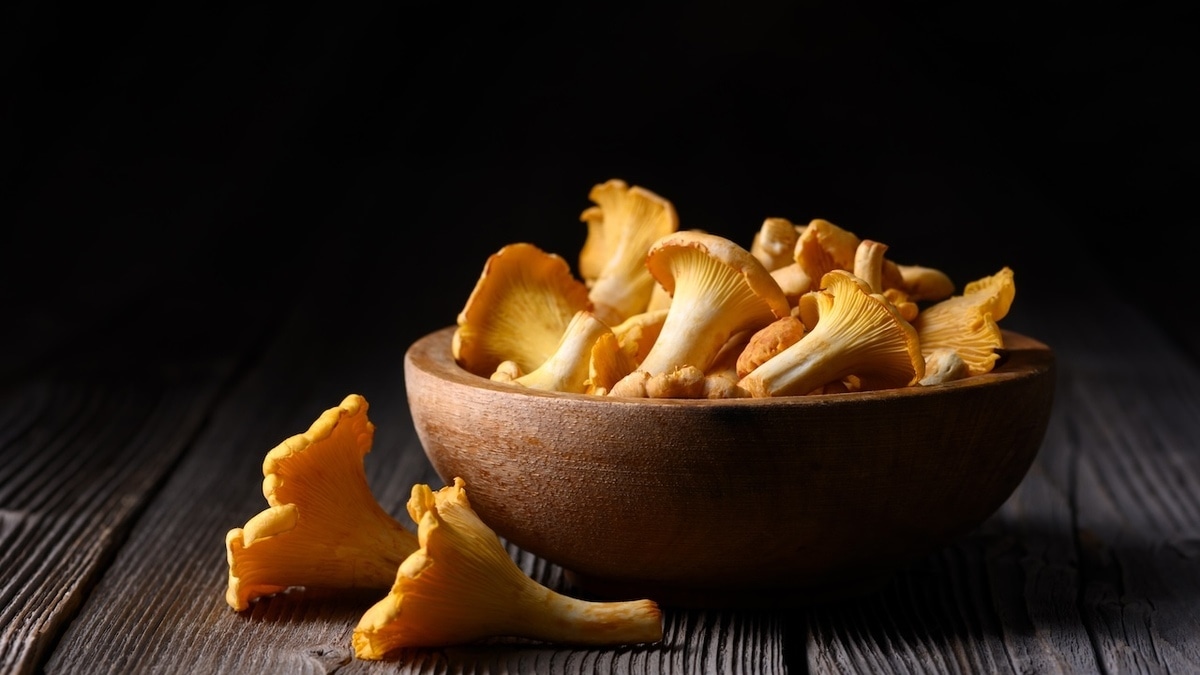 "Одно из любимых сочетаний": шеф-повар Беседин подсказал, с чем сочетать лисички — кроме сметаны