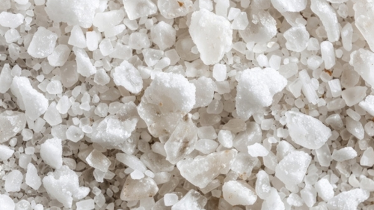 Обращаемся к опыту древней Азии: новый тренд из соцсетей — заменить масло для жарки на необычный ингредиент Обращаемся к опыту древней Азии: новый тренд из соцсетей — заменить масло для жарки на необычный ингредиент