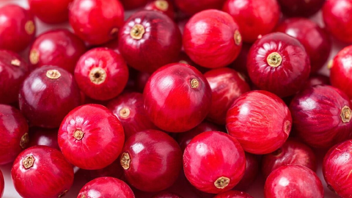 Витамины под рукой: 4 способа заготовить бруснику и клюкву на зиму Витамины под рукой: 4 способа заготовить бруснику и клюкву на зиму