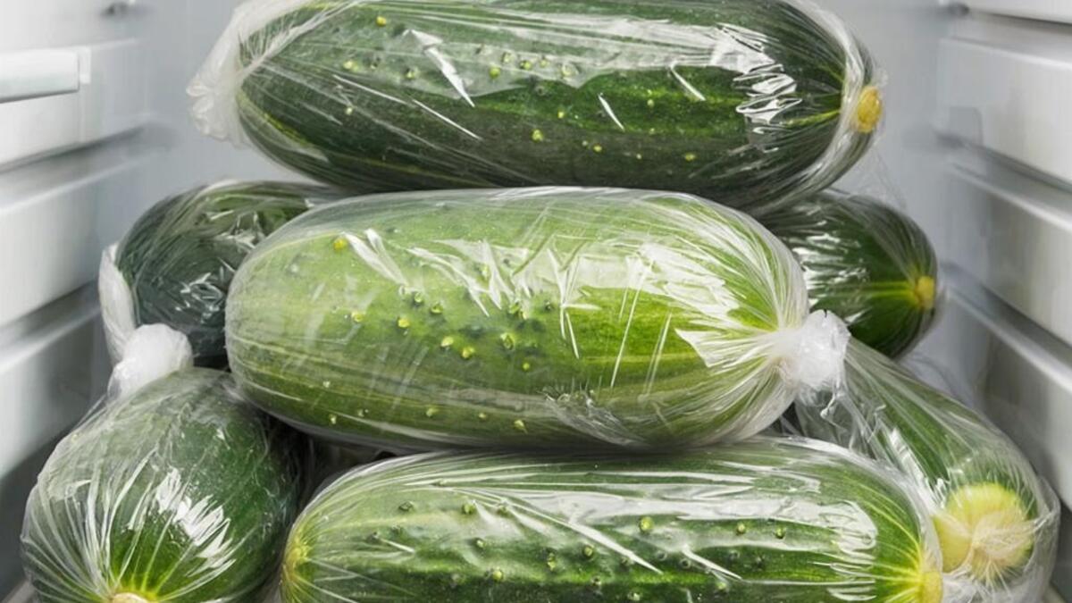 Будут радовать сочным хрустом несколько недель: как правильно хранить свежие огурцы