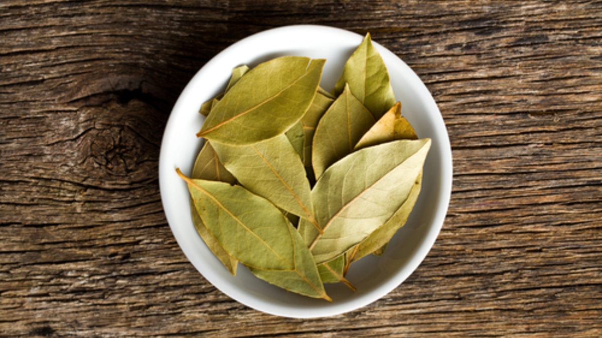 Не только в суп: рецепт микстур от кашля из лаврового листа — незаменим в сезон ОРВИ
