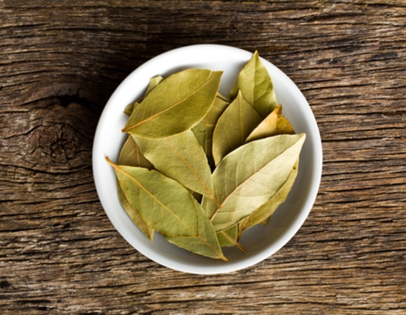 Не только в суп: рецепт микстур от кашля из лаврового листа — незаменим в сезон ОРВИ