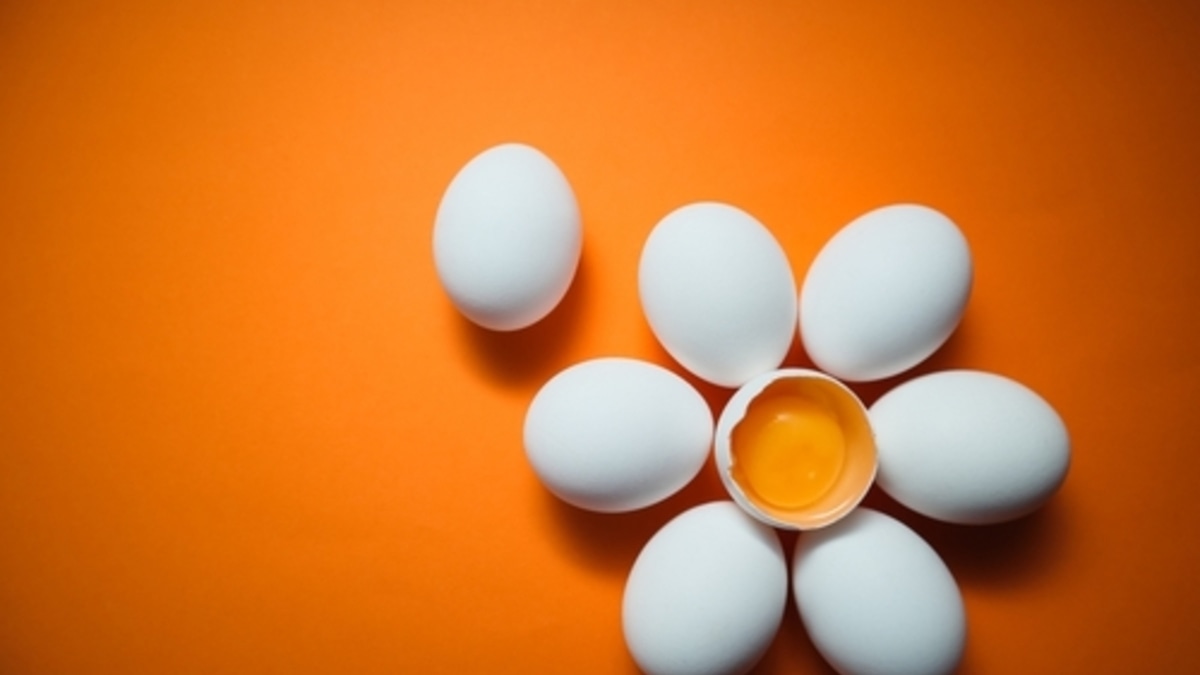 Год не простоят даже в холодильнике: правила хранения куриных яиц от эксперта РОСБИОТЕХа