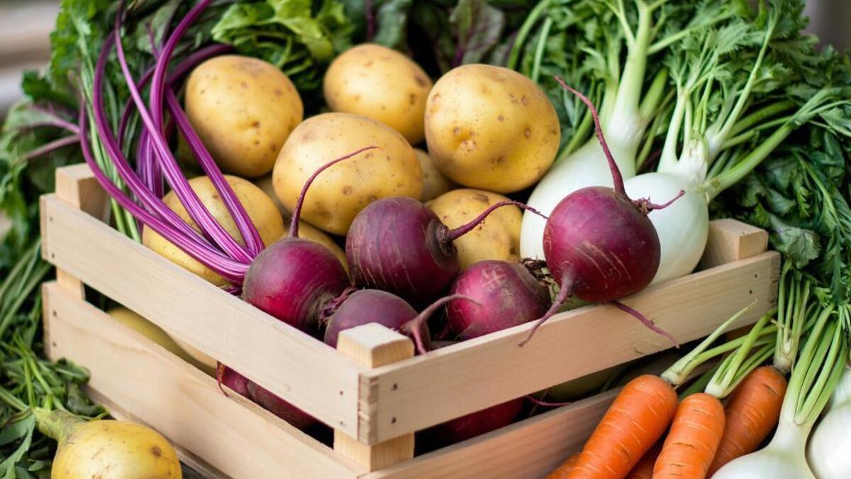 Убираем от света, рядом с фруктами не кладем: эксперт РОСБИОТЕХа рассказала, как хранить на зиму овощи Убираем от света, рядом с фруктами не кладем: эксперт РОСБИОТЕХа рассказала, как хранить на зиму овощи